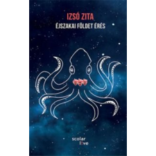 Izsó Zita Éjszakai földet érés irodalom