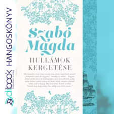 Jaffa Kiadó Hullámok kergetése egyéb e-könyv
