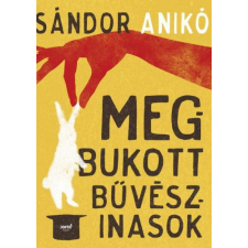 Jaffa Kiadó Kft Sándor Anikó - Megbukott bűvészinasok regény