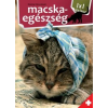 JAM AUDIO Bernáth István - Macskaegészség - 1x1 kalauz