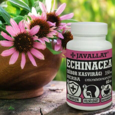 Javallat ECHINACEA (BÍBOR KASVIRÁG) HERBA vitamin és táplálékkiegészítő
