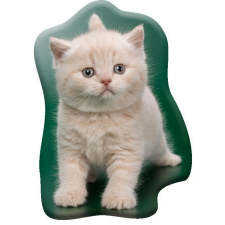 Javoli Cicás Creamy Whiskers formapárna, díszpárna 40x32 cm Velúr lakástextília