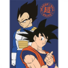 Javoli Dragon Ball Duo polár takaró 100x140cm
