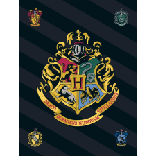 Javoli Harry Potter polár takaró 100*140cm lakástextília