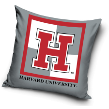 Javoli Harvard párnahuzat 40*40 cm lakástextília
