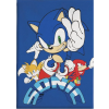 Javoli Sonic a sündisznó Coin Chase polár takaró 100x140cm