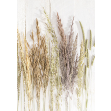 Javoli Természet Golden Harvest A/4 gumis mappa mappa