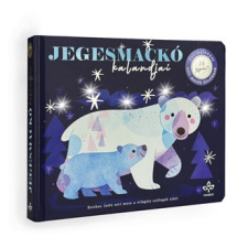  Jegesmackó kalandjai - Csillagfényes esti mesék kicsiknek gyermek- és ifjúsági könyv