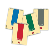  Jegyzettömb spirálos Pignastyl A/4 vonalas 60 lapos jegyzettömb