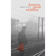 Jelenkor Amerre járok védtelen egyéb e-könyv