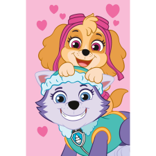 Jerry Fabrics Baby fleece blanket Paw Patrol PP518 100 × 150 cm (03117-DEKAPAW518A) lakástextília