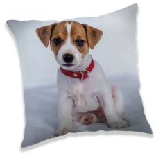 Jerry Fabrics Kutyás párna, díszpárna 40*40 cm lakástextília