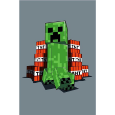Jerry Fabrics Minecraft TNT fleece gyerektakaró lakástextília