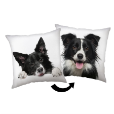 Jerry Fabrics Pillow Border Collie 40 × 40 cm (03300-00000BORDEA) lakástextília