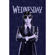 Jerry Fabrics  Wednesday Fleece gyerek pléd, 100×150 cm (03117-DEKAHWEDNEA) lakástextília