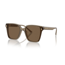 Jimmy Choo JC5016D 505173 TRANSPARENT BROWN DARK BROWN napszemüveg