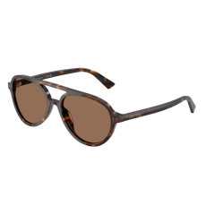 Jimmy Choo JC5055U 500273 Havana Dark Brown napszemüveg