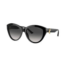 Jimmy Choo Napszemüvegek Jimmy Choo JC5007 50008G