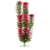 JK | Red Anacharis | Piros Anacharis, műnövény dekoráció - 25-28 cm