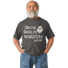  Jóképű, okos és nyugdíjas vagyok - Férfi Póló férfi póló