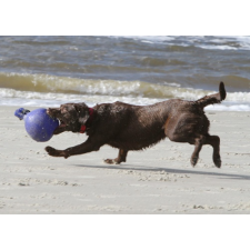 Jolly Pets tugn toss 10 cm kék kutyajáték labda játék kutyáknak