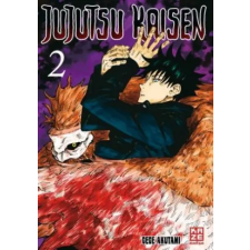  Jujutsu Kaisen - Band 2 – Akutami Gege,Costa Caspary idegen nyelvű könyv