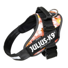 Julius-K9 IDC Powerhám, felirattal, Baby 2 "Rózsaszínen virágok" nyakörv, póráz, hám kutyáknak