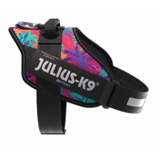 Julius-K9 Julius K-9 IDC Powerhám (1-es méret, Vibe) kutyák részére nyakörv, póráz, hám kutyáknak