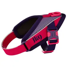 JULIUSK10 JK9® Street hám Sötét lila és neon málna méret: 2XS nyakörv, póráz, hám kutyáknak