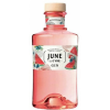  June GVine Watermelon Gin 37,5%