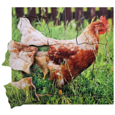 Just Jigsaws tyúkok élete fapuzzle puzzle, kirakós