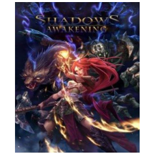 Kalypso Media Digital Shadows: Awakening (PC - Steam Digitális termékkulcs) videójáték