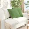  Kanapé párnák 2 pcs Világos zöld 50 x 50 cm Bársonyos szövet