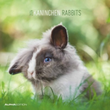  Kaninchen 2024 - Broschürenkalender 30x30 cm (30x60 geöffnet) - Kalender mit Platz für Notizen - Rabbits - Bildkalender - Wandplaner - Wandkalender – ALPHA EDITION naptár, kalendárium