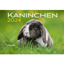 Kaninchen Kalender 2024 naptár, kalendárium