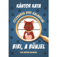 Kántor Kata - Ciczvarek Biri kalandjai - Biri, a bűnjel gyermek- és ifjúsági könyv