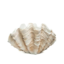  KARE Design Concha Kagylómintás Dekoratív Váza Krémfehér 29 cm dekoráció