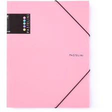 Karton P+P Pastelini sloha s gumou A4 PP růžová lefűző