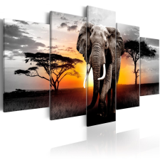 Kép - Elephant at Sunset 200x100 grafika, keretezett kép