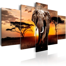 Kép - Elephant Migration 100x50 grafika, keretezett kép