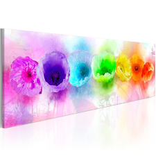 Kép - Rainbow-hued poppies 120x40 grafika, keretezett kép