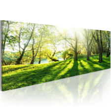 Kép - Rays of Sunshine 135x45 grafika, keretezett kép
