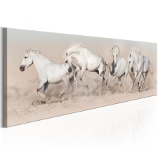 Kép - Wild Beauty 150x50 grafika, keretezett kép