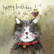 Képeslap Alex Clark borítékkal, 14x14 cm, cica madárral HBD képeslap