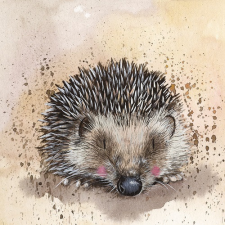  Képeslap Alex Clark borítékkal, 14x14 cm, süni képeslap