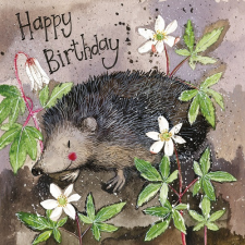 Képeslap Alex Clark borítékkal, 14x14 cm, süni HBD képeslap
