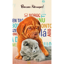 Képeslap Boldog Névnapot borítékkal E 19-17 képeslap