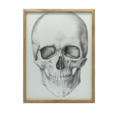 KERET FALI PLAKÁT ANATÓMIAI KOPONYA NAGY 70x100 CM grafika, keretezett kép