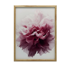  KERET FALI PLAKÁT PASTELL VARÁZS VIRÁG NAGY 70x100 CM grafika, keretezett kép