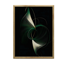 KERET FALI PLAKÁT SÖTÉT ELEGÁNCIA GÖBRE 70x100 CM grafika, keretezett kép